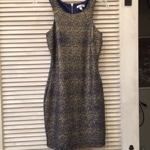 Beautiful sparkly bodycon dress